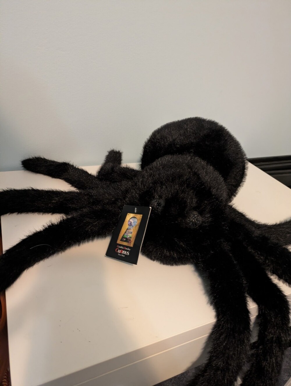 Cynthia Rowley Curious Spider Large Black Plush Accent Elevated Halloween Decor
